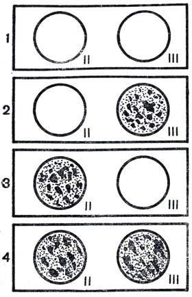 . 11.    (,    ,   ): 1 -       II,  III  -  I , 2 -     III  -  II : 3 -     II  -  III ; 4 -     II  III  -  IV 