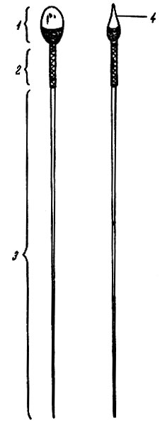 . 18.  () , 1 - ; 2 - ; 3 - ; 4 - 
