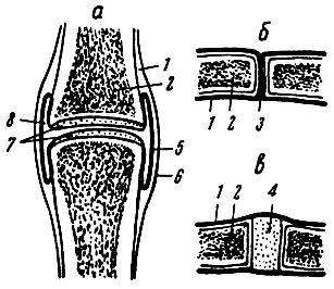 . 25.    (),  - ;  -  ();  - ; 1 - ; 2 - ; 3 -   ; 4 - ; 5 -    ; 6 -    ; 7 -  ; 8 -  