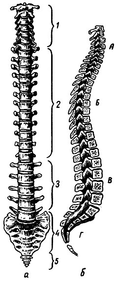 . 27.  ,  -  : 1 -  ; 2 -  ; 3 -  ; 4 - ; 5 - ;  -     .  -  ;  -  ;  -  ;  -  