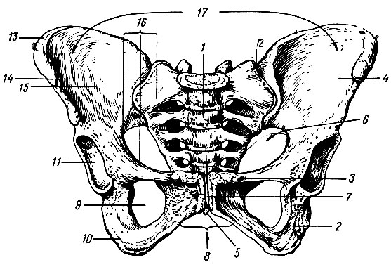 . 30.  . 1 - ; 2 -  ; 3 -  ; 4 -  ; 5 - ; 6 -    ; 7 -   ( ); 8 -    ( ); 9 -  ; 10 -  ; 11 -  ; 12 - - ; 13 -   ; 14 -    ; 15 -  ; 16 -  ; 17 -  