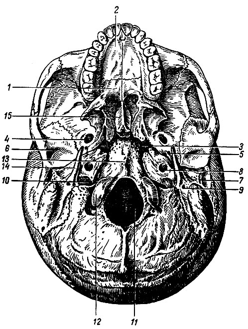 . 38.    . 1 -    ; 2 -    ; 3 -  ; 4 -  ; 5 -  ; 6 -  ; 7 -   ; 8 -     ; 9 -  ; 10 -  ; 11 -   ; 12 -  ; 13 -  ; 14 -  ; 15 - 