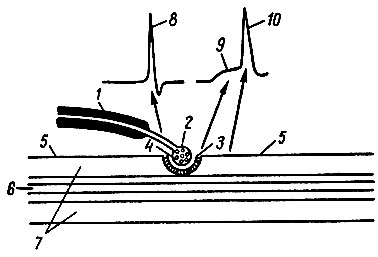 . 49.   - . 1 -   ; 2 -     ; 3 -    ; 4 -  ; 5 -   ; 6 - ; 7 - ; 8 -    ; 9 -    ( ); 10 -    