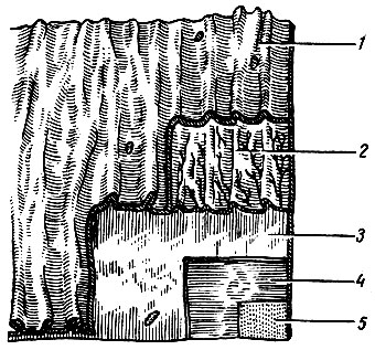 . 52.    (). 1 -  ; 2 -  ; 3, 4 -  :  (3)   (4)  ; 5 -  