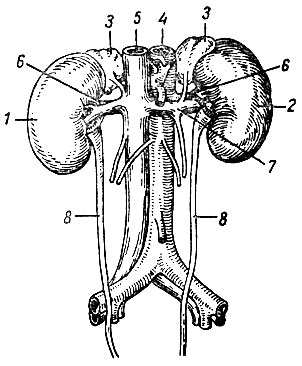 . 71.   . 1 -  ; 2 -  ; 3 - ; 4 - ; 5 -   ; 6 -  ; 7 -  ; 8 - 