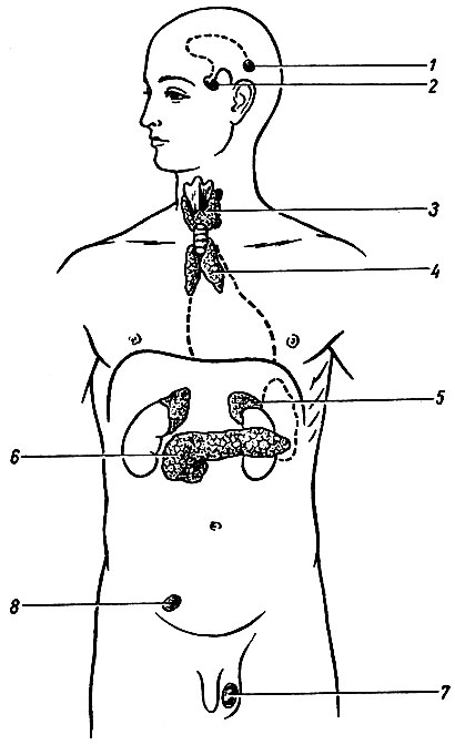 . 79.    (). 1 -  ; 2 - ; 3 -    ; 4 -   (); 5 - ; 6 -    ; 7 -    ( ); 8 -    ( )