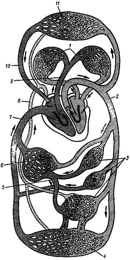 . 85.     .1 -    ; 2 - ; 3 -    ; 4 -      ; 5 -  ; 6 -    :7 -   ; 8 -   ; 9 -  , 10 -   ; 11 -      