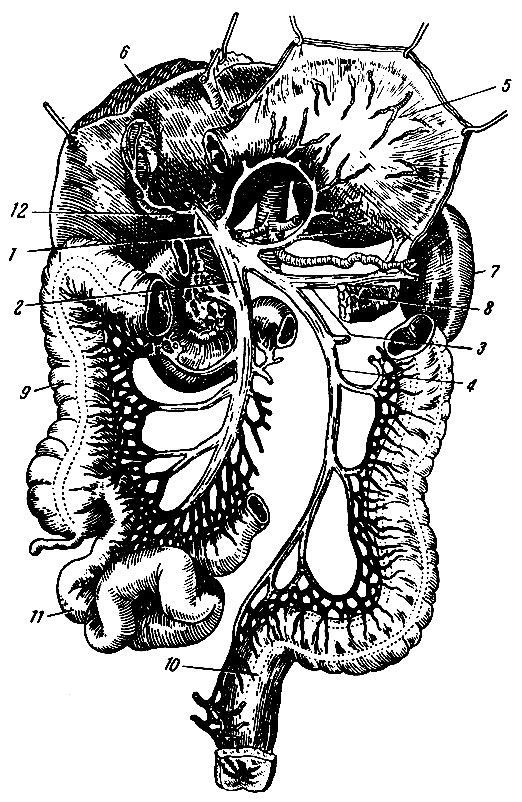 . 96.   . 1 -  ; 2 -   ; 3 -  ; 4 -   ; 5 -  ( ); 6 - ; 7 - ; 8 -   ; 9 -   ; 10 -   ( ); 11 -   ; 12 -   