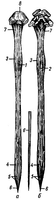 . 109.  ,  -  ;  -  ; 1 -   ; 2 -   ; 3 -  ; 4 - - ; 5 -  ; 6 -  ; 7 -  ; 8 - 