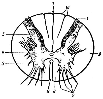 . 110.      . 1 -  ; 2 -  ; 3 -  ; 4 -  ; 5 -  ; 6 -   ; 7 -   ; 8 -  ; 9 -  ; 10 -  