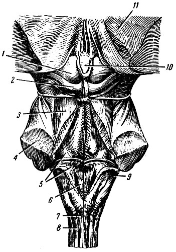 . 112.   ( ;  ). 1 -  ; 2 -  ; 3 -   ; 4 -   ; 5 -  ; 6 -   XII   ; 7 -  ; 8 -  ; 9 -   ; 10 -  ; 11 - 