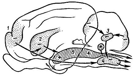 . 115.   ().  (5)   (4)     ,   ,      (1),   (2)   (3) ( )