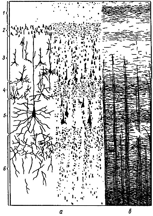 . 117.     (),  -   (1 - 6)  ;  -   