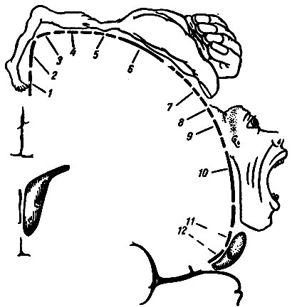 . 119.           (   ).       . 1 - ; 2 - ; 3 - ; 4 - ; 5 - ; 6 - ; 7 -   ; 8 - ; 9 - ; 10 - ; 11 - ; 12 - 