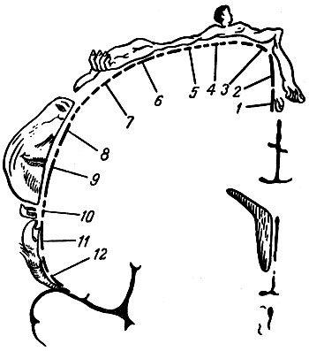 . 120.           (   ).       . 1 -  ; 2 - ; 3 - ; 4 - ; 5 - ; 6 - ; 7 -     ; 8 - ; 9 - ; 10 - ; 11 - ; 12 -    