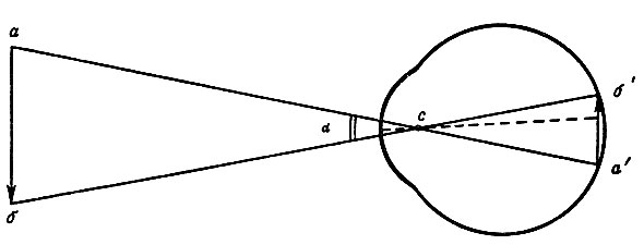 . 132.    , ,  - : ', ' -       ;  -  ,      , α -  