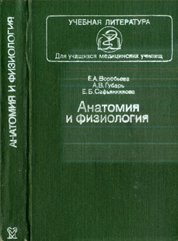   ,   ,    -   : 