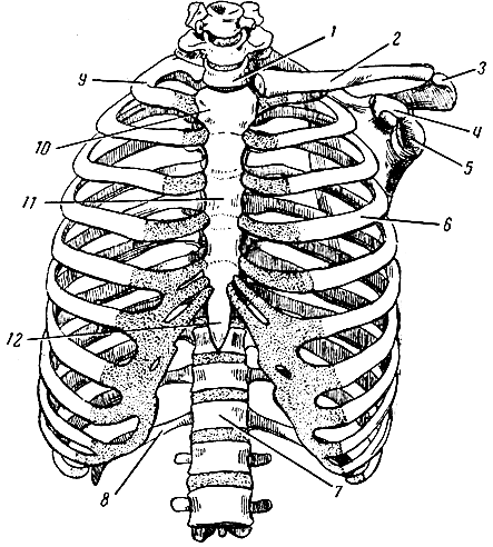. 21.   . 1 -   ; 2 - ; 3 -   ; 4 -   ; 5 -   ; 6 -  (IV); 7 - XII  ; 8 - XII ; 9 - I ; 10 -  ; 11 -  ; 12 -   