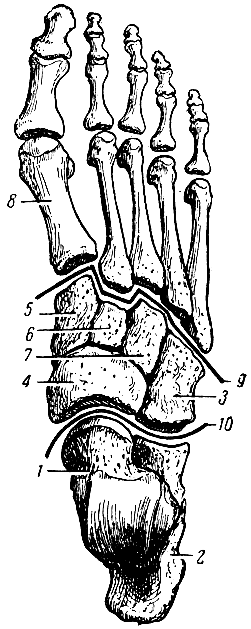 . 31.    ( ). 1 -  ; 2 -  ; 3  ; 4 -  ; 5, 6, 7 -  ; 8 -   ; 9 -         ; 10 -          