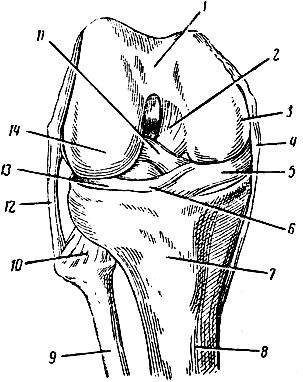 . 32.   (.  ,   ( ). 1 -     ; 2,11 -  ; 3, 14 -   ; 4, 12 - ,   ; 5, 13 - ; 6 - ,  ; 7 -   ; 8 -  ; 9 -  ; 10 -        