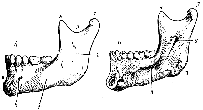 . 39.  .  -   ( );  -   ( ); 1 - ; 2 - ; 3 - ; 4 -  ; 5 -  ; 6 -  ; 7 -  ; 8 - - ; 9 -  ; 10 -   