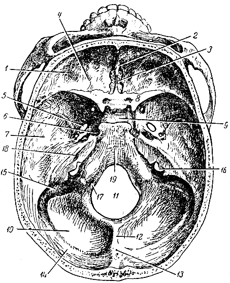 . 42.    . 1 -   ; 2 -  ; 3 -    ; 4 -    ; 5 -  ; 6 -  ; 7 -   ; 8 -  ; 9 -  ; 10 -   ; 11 -   ; 12 -   ; 13 -   ; 14 -  ; 15 -  ; 16 -  ; 17 -   ; 18 -   ; 19 - 