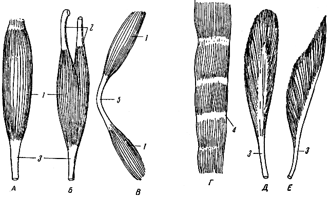 . 44.  .  -  ;  -  ;  -  ;  -    ;  -  ;  -  ; 1 -  ; 2  3 -  ; 4 -  ; 5 -  