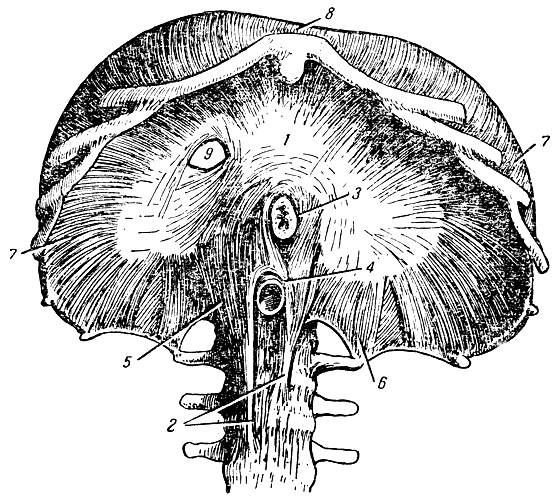 . 45.  ( ). 1 -  ; 2, 5  6 -    ; 3 -   ; 4 -   ; 7 -   ; 8 -  ; 9 -     