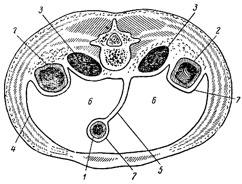 . 64.     (). 1 -  ; 2 -  ; 3 -  ; 4 -   ; 5 - ; 6 -  ; 7 -   