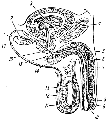 . 79.      (). 1 -  ; 2 -  ; 3 -   ; 4 -  ; 5 -  ; 6 -    ; 7 -    ; 8 -   ; 9 -  ; 10 -    ( ); 11 - ; 12 - ; 13 -  ; 14 -     ; 15 -  () ; 16 -  ; 17 -  
