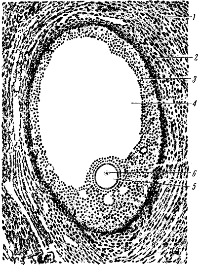 . 82.   ( ). 1 -  ; 2 -   ; 3 -   ; 4 -   ,  ; 5 - ; 6 -  