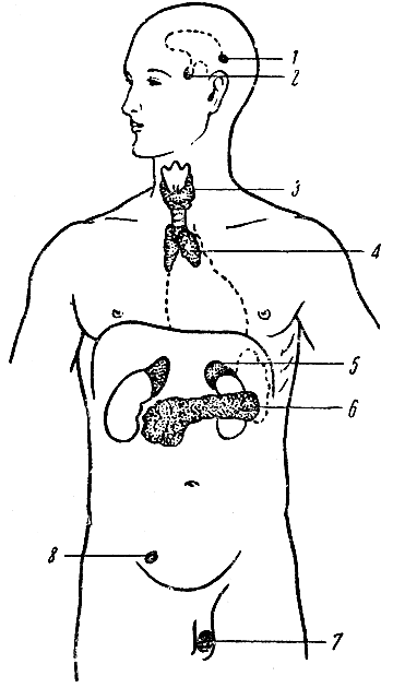 . 93.   ( )   . 1 -  ; 2 - ; 3 -    ; 4 -  ; 5 - ; -    ; 7 -    ( ); 8 -    ( )