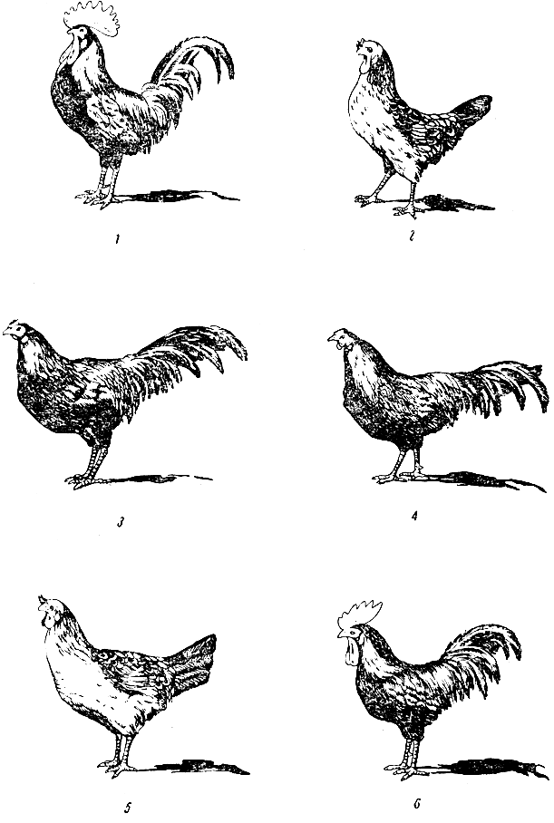 . 99.  . 1 -  ; 2 -  ; 3 -  ; 4 -  ; 5 -  ,    ; 6 -  ,    