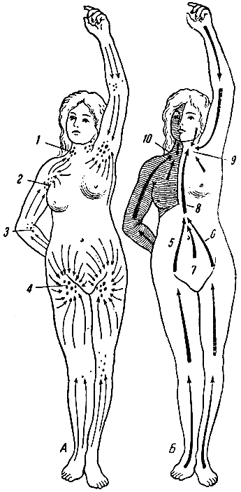 . 120.  -     ;  -   ,             (  ). 1 -   ; 2 -  ; 3 -  ; 4 -  ; 5 -   ; 6 -   ; 7 -  ; 8 -   ; 9 -    ; 10 -     