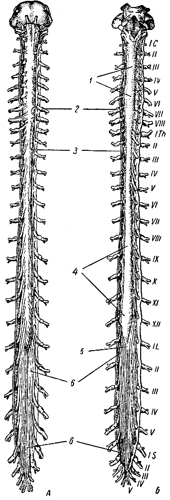 . 123.  .  -  ;  -  .      , ,     . 1 -  ; 2 - - ; 3 -  ; 4 -  ; 5 -  ; 6 -  