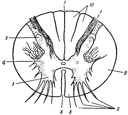 . 124.    . 1 -  ; 2 -  ; 3 -  ; 4 -  ; 5 -  ; 6 -  ; 7 -  ; 8 -  ; 9 -  ; 10 -  