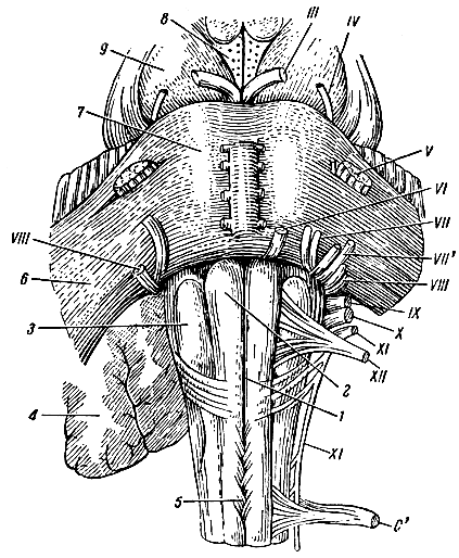 . 128.      . 1 -  ; 2 -   ; 3 - ; 4 - ; 5 -          ; 6 -  ; 7 -  ; 8 -    ; 9 -  ; III, IV, V, VI, VIII, IX, X, XI, XII -    ; VII -  ; ' -   