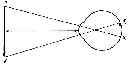 . 152.     ().  -   ; 1 -       ;   1 -  -       