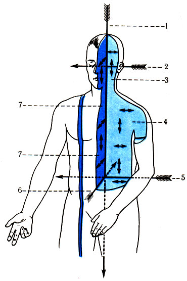 29.        ( . . ). 1 -  ; 2 -  ; 3 -  ; 4 - ,    ;   ; 5 -  ; 6 -  ; 7 - ,    