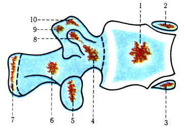 42.     ( ). 1 -   ; 2 -    ; 3 -   ; 4 -      ; 5 -   ; 6 -   ; 7 -     ; 8 -   ; 9 -     ; 10 -    