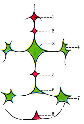 75.    . ,  ,  ( ). 1 -  ;   ; 2 -  ,    ; 3 -  ; 4 -  ; 5 -  ,    ; 6 -  ; 7 -  ; 8 -  ,     