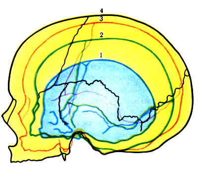77.      . 1 - ; 2 - 1 ; 3 - 7 ; 4 -  ( )