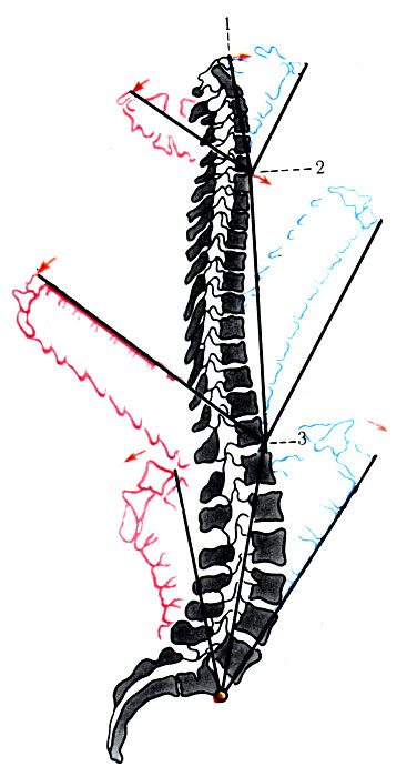 111.    . 1 - - ; 2 -   I   VII  ; 3 -   I  III  