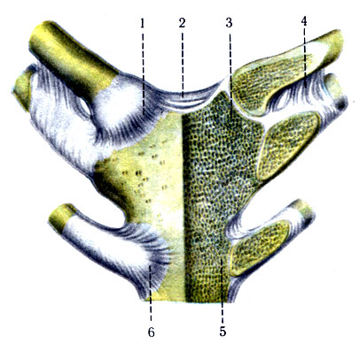 121.    . 1 - - ; 2 -  ; 3 -   - ; 4 - - ; 5 - - ; 6 - 