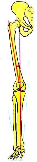 144. ,  ,      ( )    