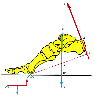 160.     .  -  ;  -   ;  -     ;  -     ;  -    