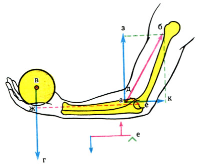 161.     .  -   - ;  -     ,  -    ;  -     ;  -    ;  - ''    ;  -    ;  -     
