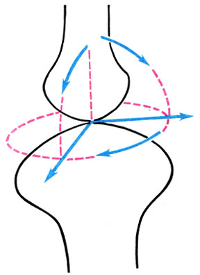 162.    ,      