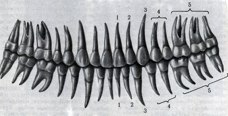 215.  . 1 -  ; 2 -  ; 3 - ; 4 -   ; 5 -   