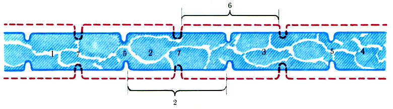 250. ,        . 1, 2, 3, 4 -    (); 5 -    ; 6 -        (); 7 -        